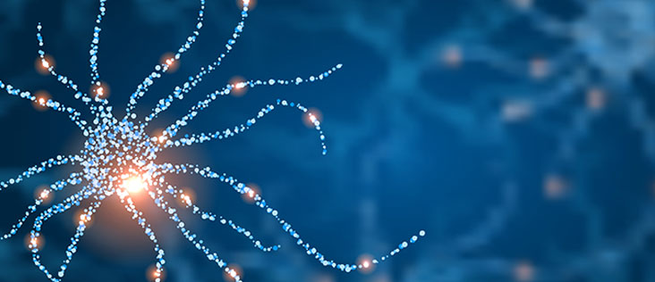 The role of Physiotherapy in Neurological Conditions